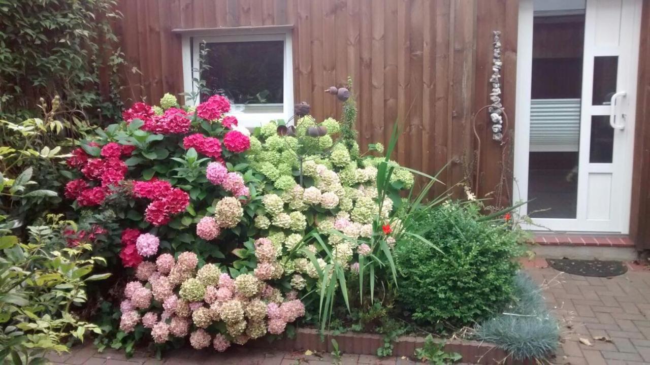 1 Raum Appartement Mit Kuechenzeile In Kappeln Extérieur photo